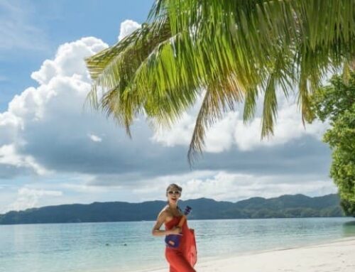 [팔라우] 쪼랩 미녀다이버의 팔라우 다이빙 후기(상)