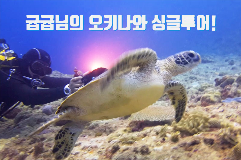 [오키나와] 규빈님의 오키나와 싱글투어 리뷰!