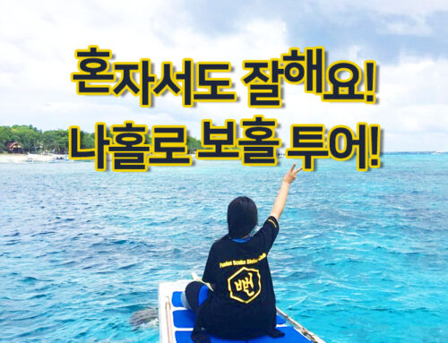 [보홀] 혼자서도잘해요! 나홀로 투어!